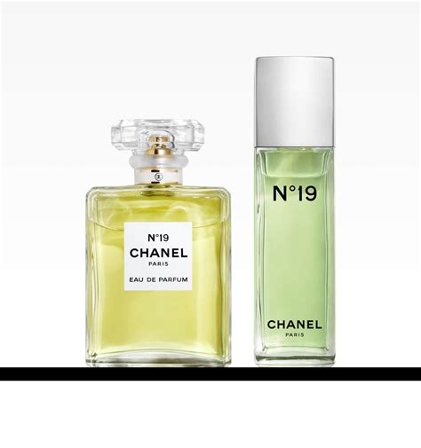 perfume chanel no 19|Chanel no 19 perfume boots.